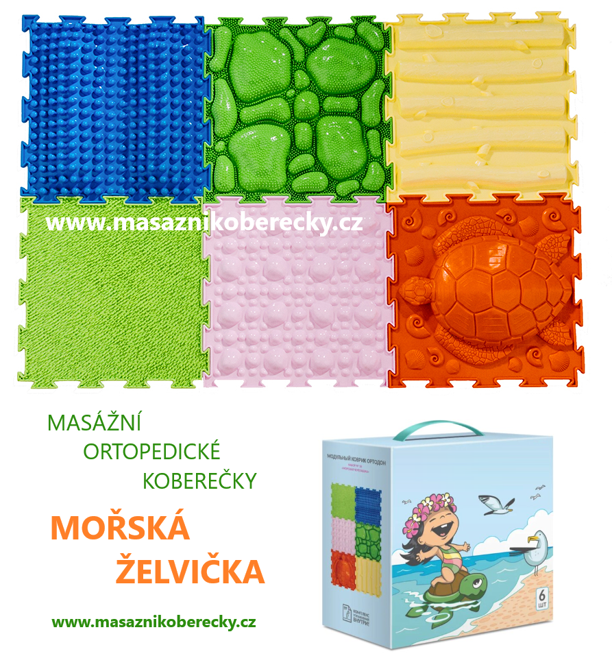 Mořská želvička / SEA TURTLE