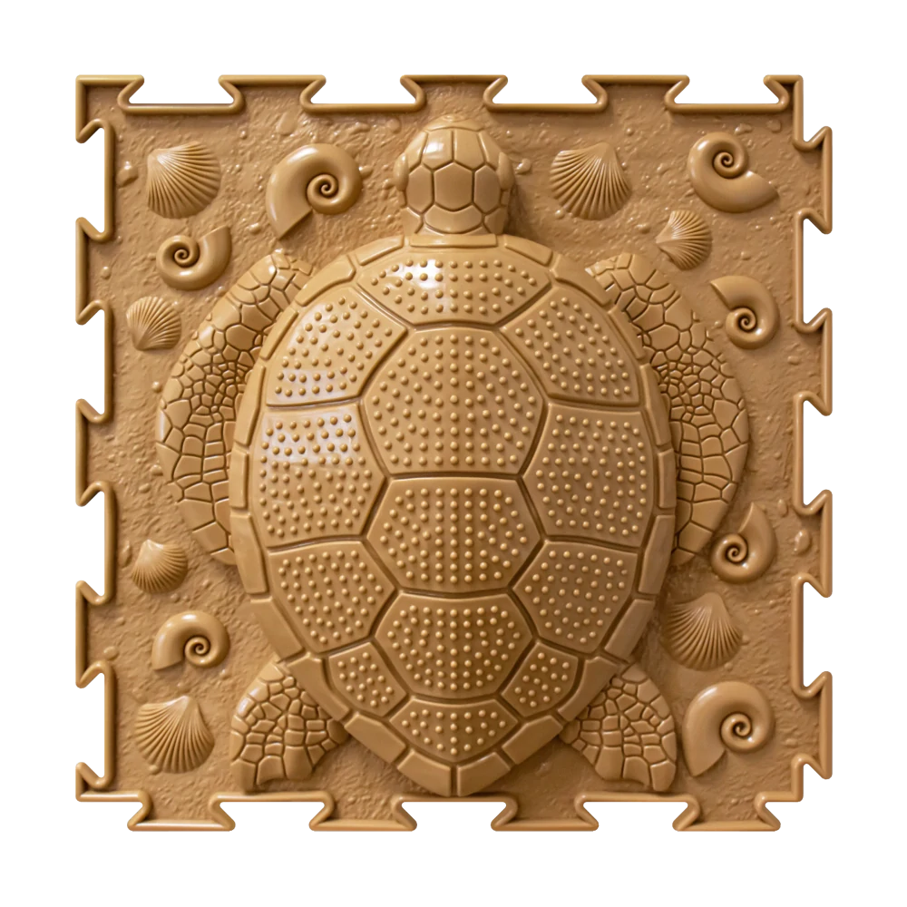 Želva / TURTLE