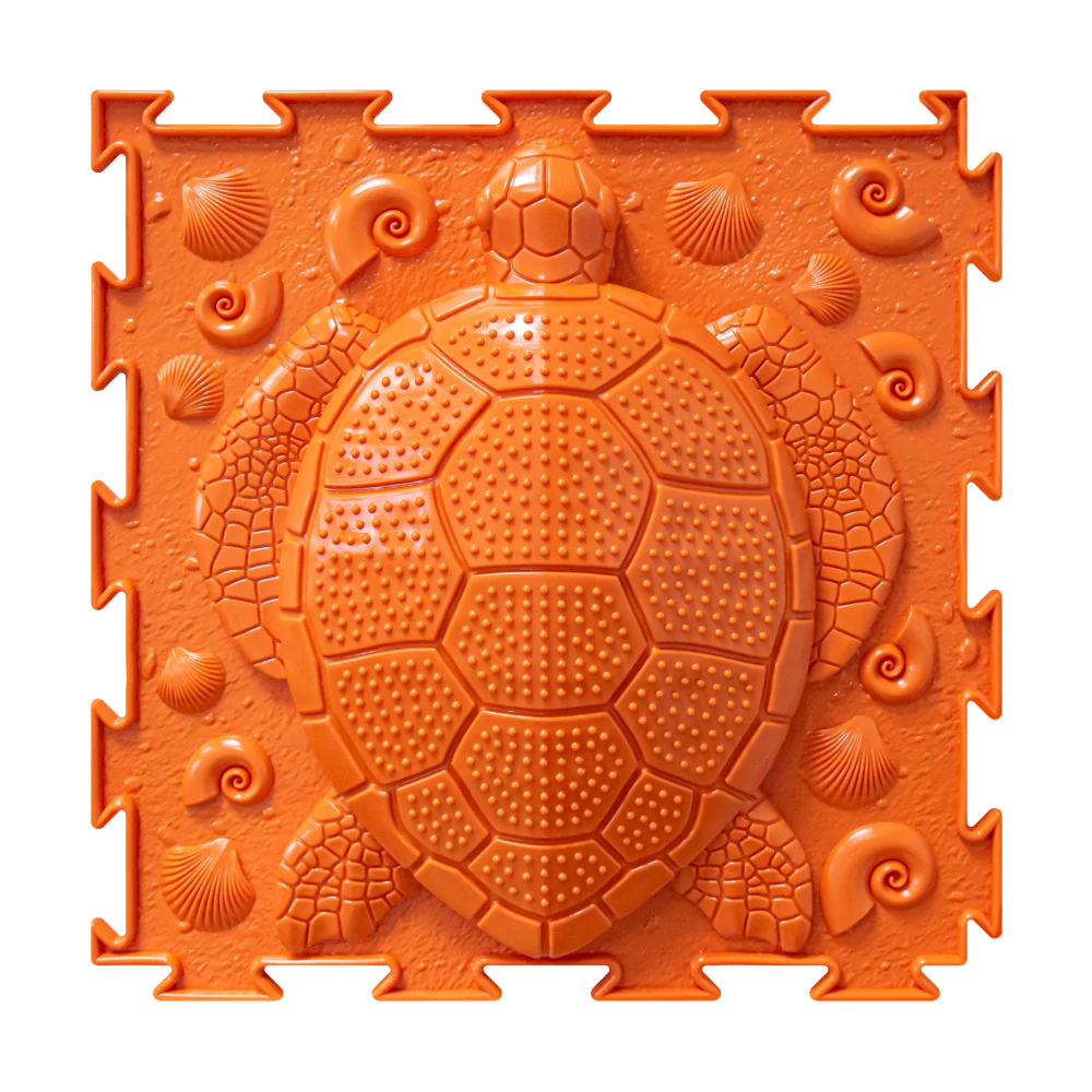 Želva / TURTLE