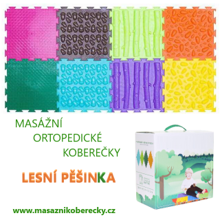 Lesní pěšinka / FOREST PATH