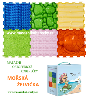 Mořská želvička / SEA TURTLE